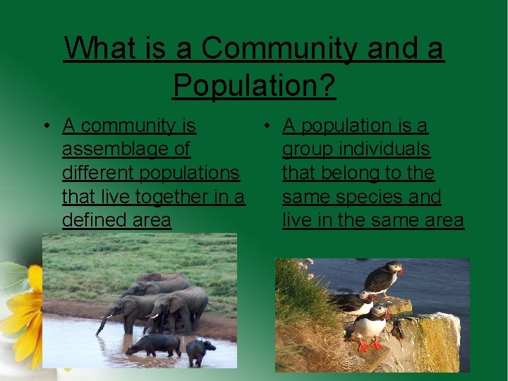 What is a Community and a Population? • A community is • A population