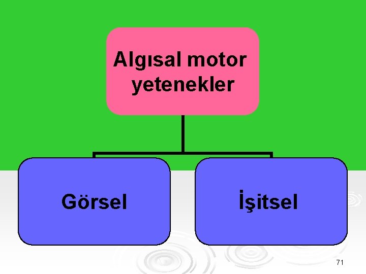 Algısal motor yetenekler Görsel İşitsel 71 