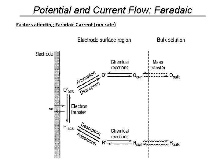 Potential and Current Flow: Faradaic Factors affecting Faradaic Current (rxn rate) 