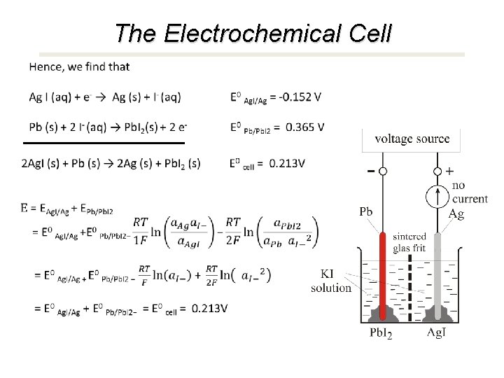The Electrochemical Cell 