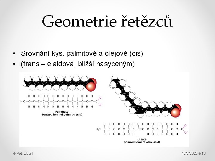 Geometrie řetězců • Srovnání kys. palmitové a olejové (cis) • (trans – elaidová, bližší