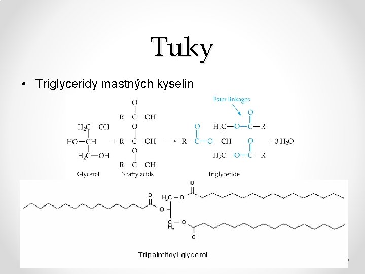 Tuky • Triglyceridy mastných kyselin Petr Zbořil 12/2/2020 12 