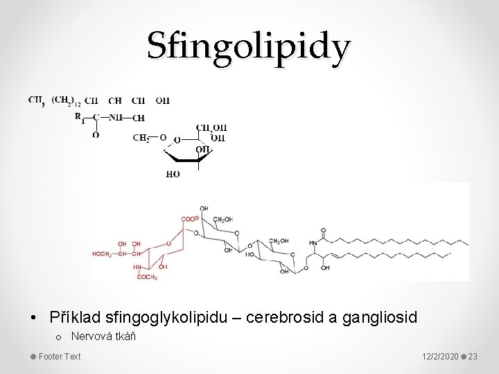 Sfingolipidy • Příklad sfingoglykolipidu – cerebrosid a gangliosid o Nervová tkáň Footer Text 12/2/2020