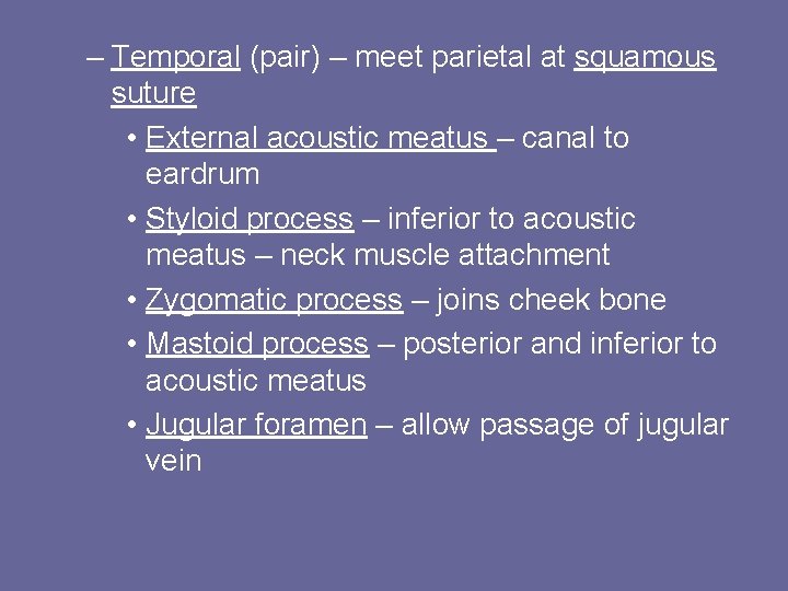 – Temporal (pair) – meet parietal at squamous suture • External acoustic meatus –