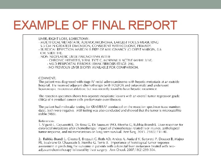 EXAMPLE OF FINAL REPORT 