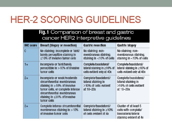 HER-2 SCORING GUIDELINES 