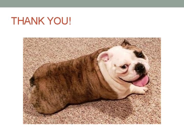 THANK YOU! 