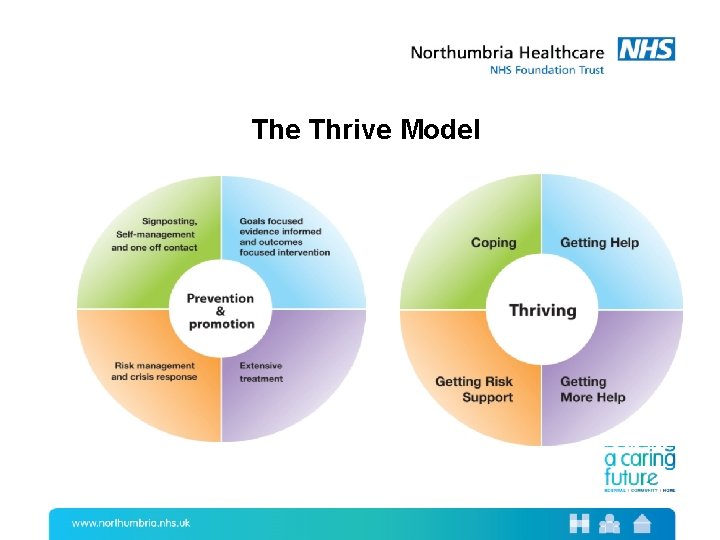 The Thrive Model 