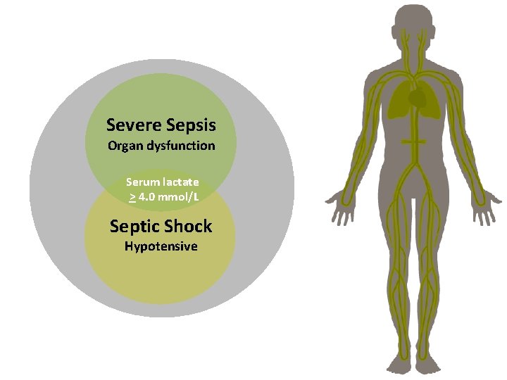 Severe Sepsis Organ dysfunction Serum lactate > 4. 0 mmol/L Septic Shock Hypotensive 