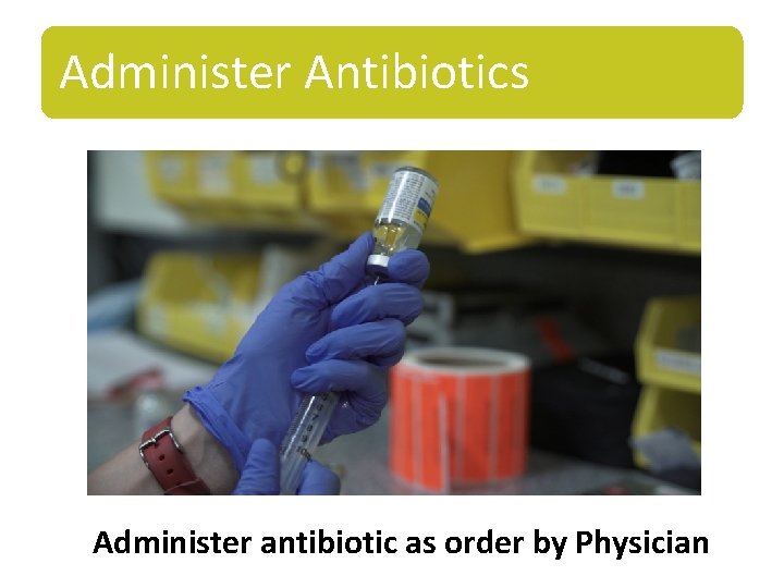 Administer Antibiotics Administer antibiotic as order by Physician 