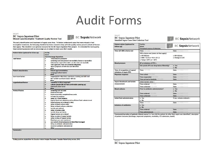 Audit Forms 