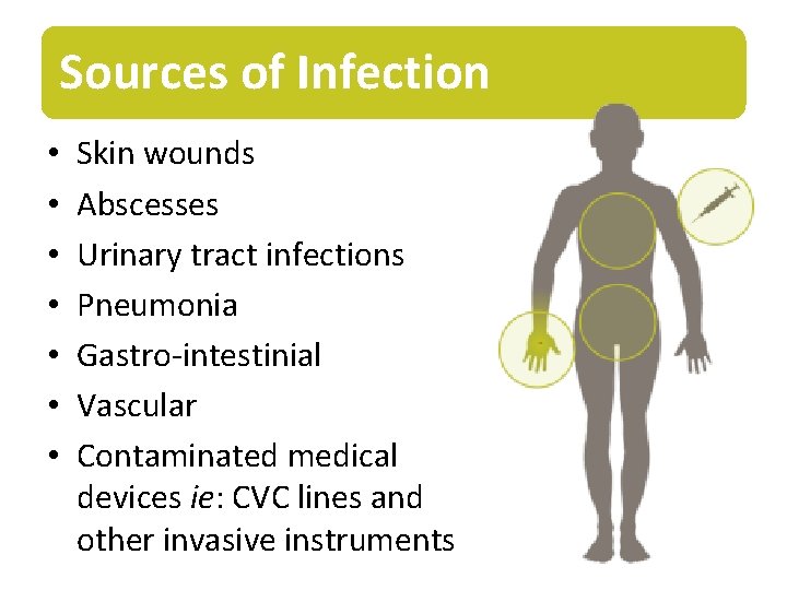 Sources of Infection • • Skin wounds Abscesses Urinary tract infections Pneumonia Gastro-intestinial Vascular