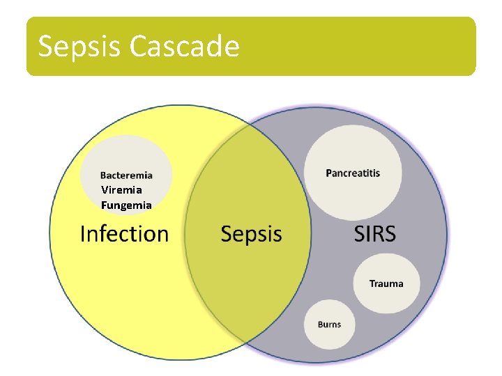 Sepsis Cascade Viremia Fungemia 