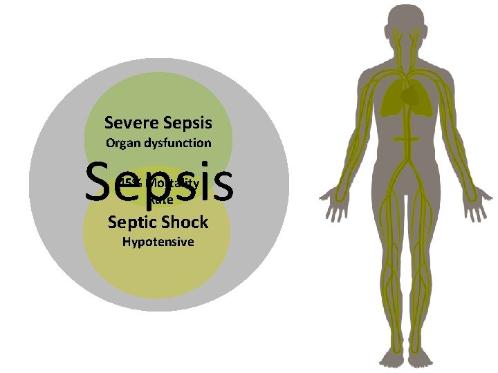 Severe Sepsis Organ dysfunction Sepsis 45% Mortality Rate Septic Shock Hypotensive 