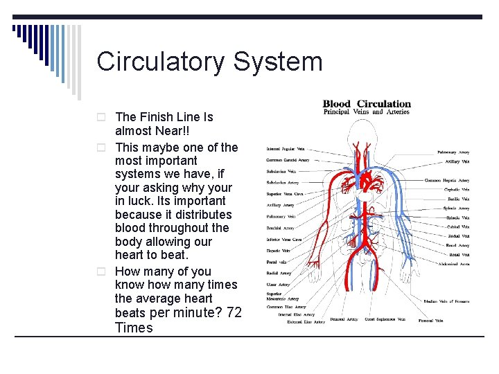 Circulatory System o The Finish Line Is almost Near!! o This maybe one of