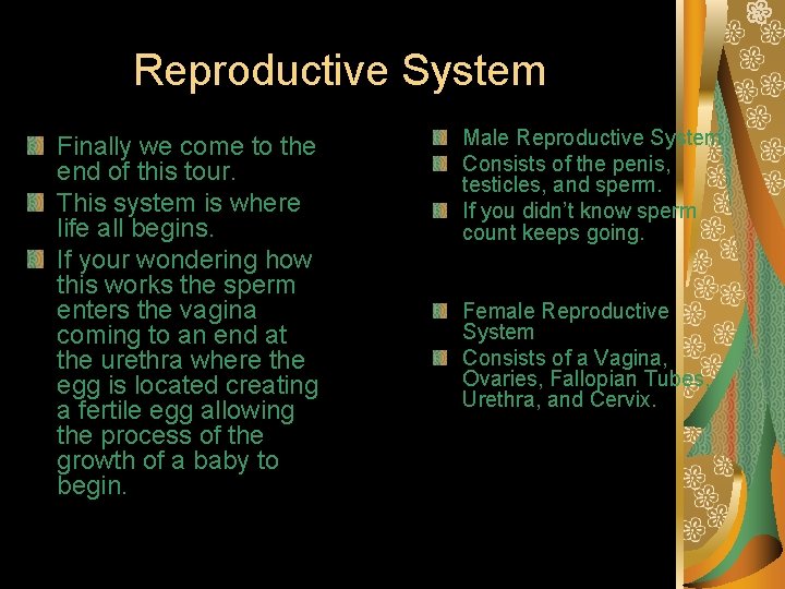 Reproductive System Finally we come to the end of this tour. This system is
