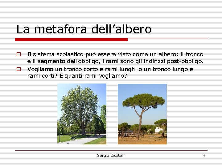 La metafora dell’albero o o Il sistema scolastico può essere visto come un albero: