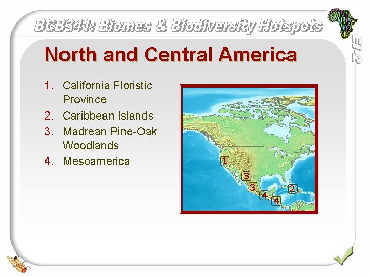 North and Central America 1. California Floristic Province 2. Caribbean Islands 3. Madrean Pine-Oak