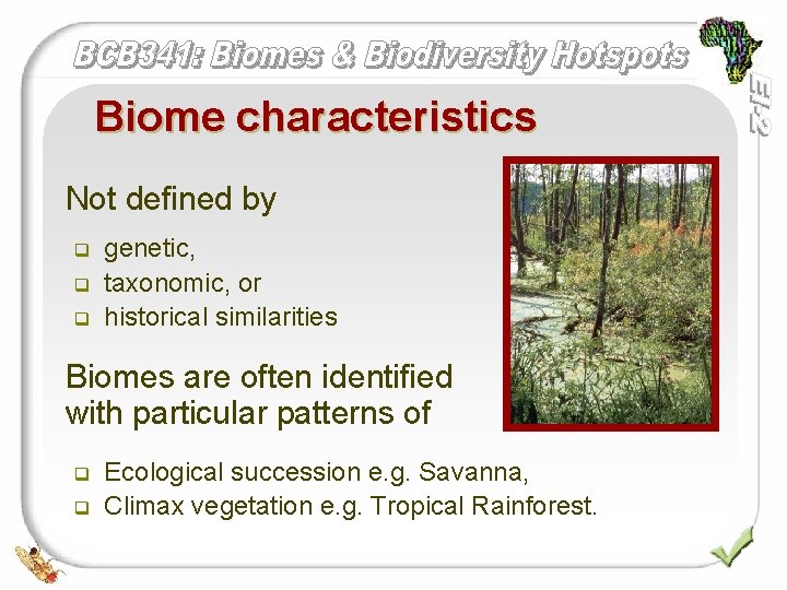 Biome characteristics Not defined by q genetic, q q taxonomic, or historical similarities Biomes