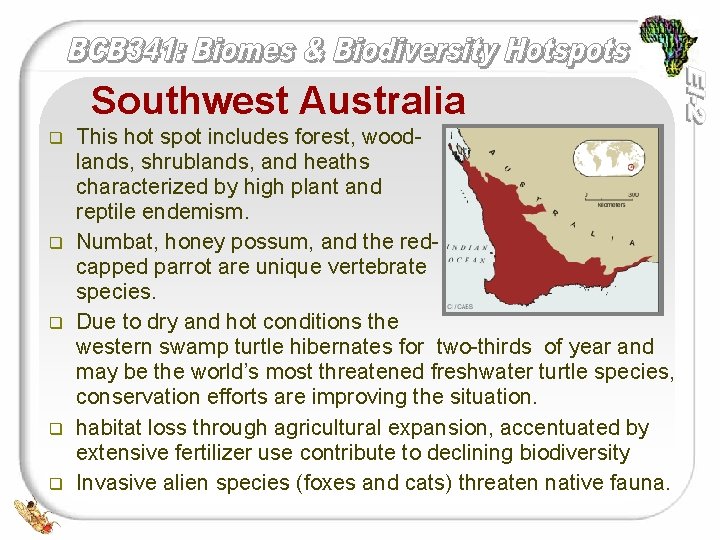 Southwest Australia q q q This hot spot includes forest, wood- lands, shrublands, and