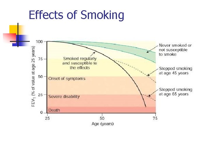 Effects of Smoking 