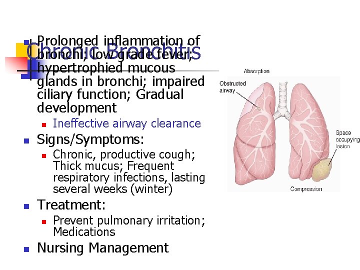 Prolonged inflammation of bronchi; low grade fever; Chronic Bronchitis hypertrophied mucous glands in bronchi;