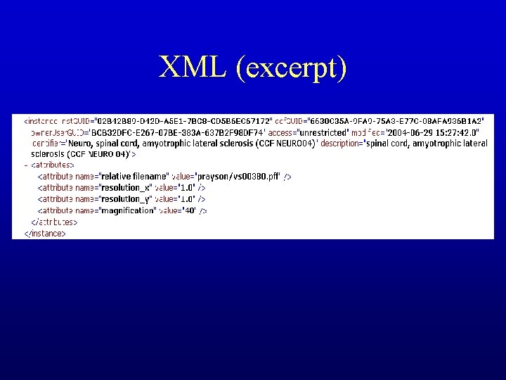 XML (excerpt) 