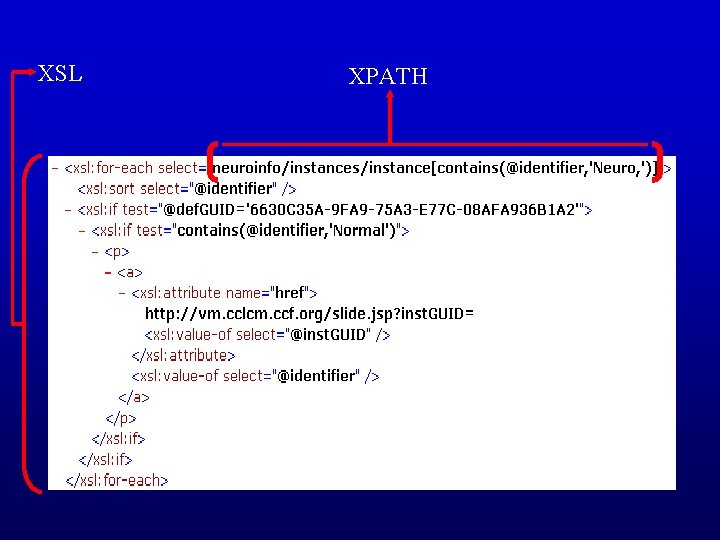 XSL XPATH 