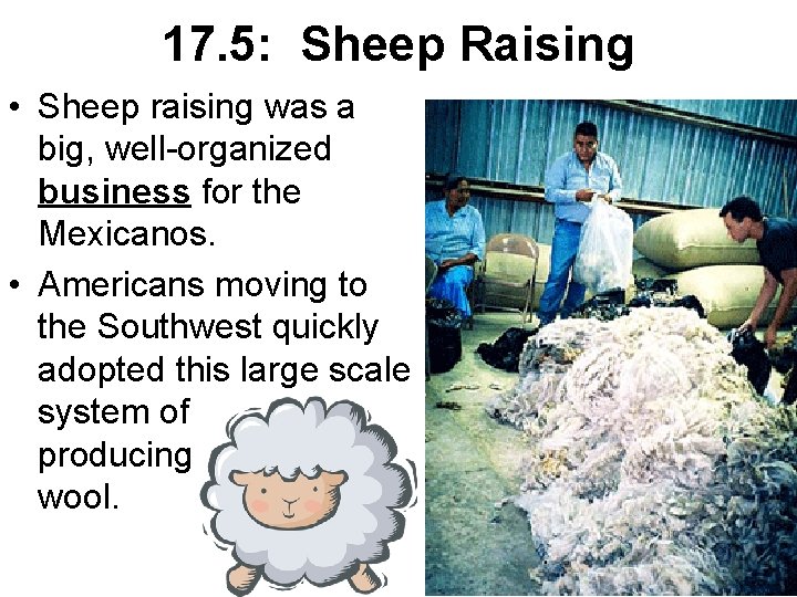 17. 5: Sheep Raising • Sheep raising was a big, well-organized business for the