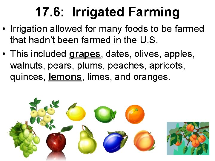 17. 6: Irrigated Farming • Irrigation allowed for many foods to be farmed that