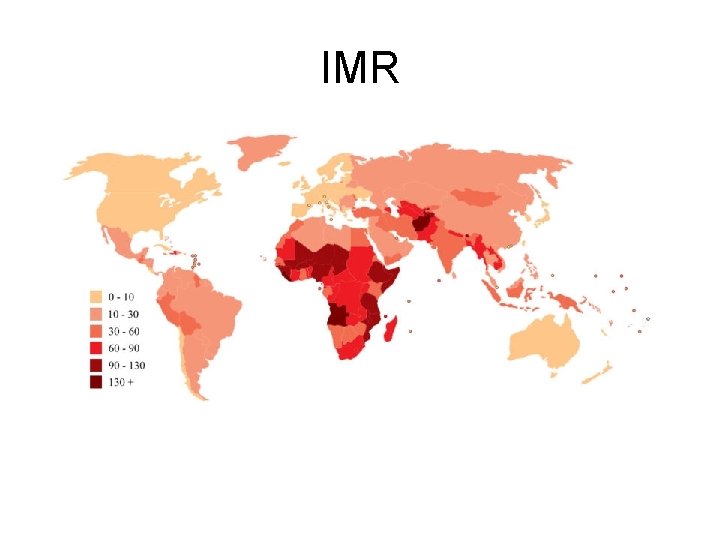 IMR 