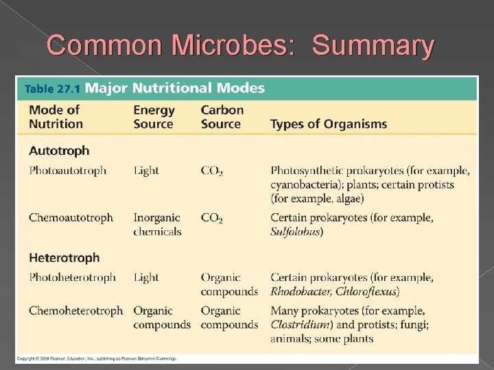 Common Microbes: Summary 15 