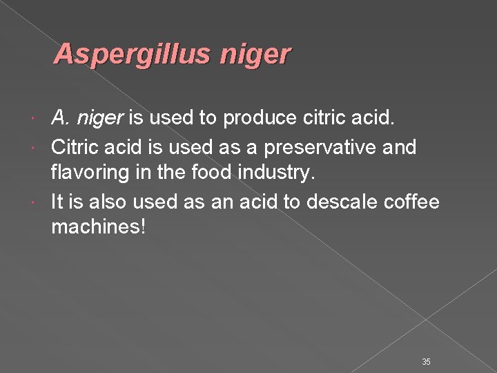 Aspergillus niger A. niger is used to produce citric acid. Citric acid is used