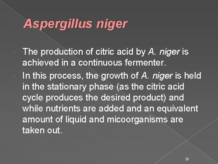 Aspergillus niger The production of citric acid by A. niger is achieved in a