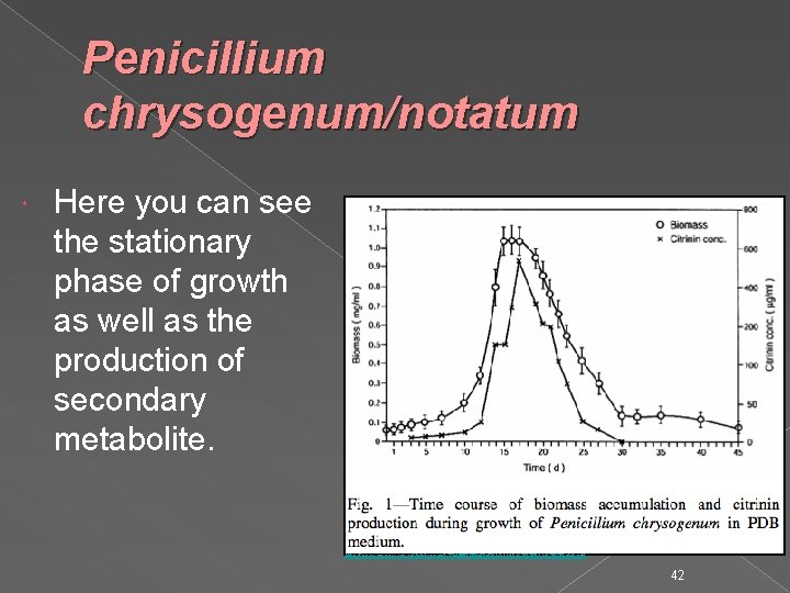 Penicillium chrysogenum/notatum Here you can see the stationary phase of growth as well as