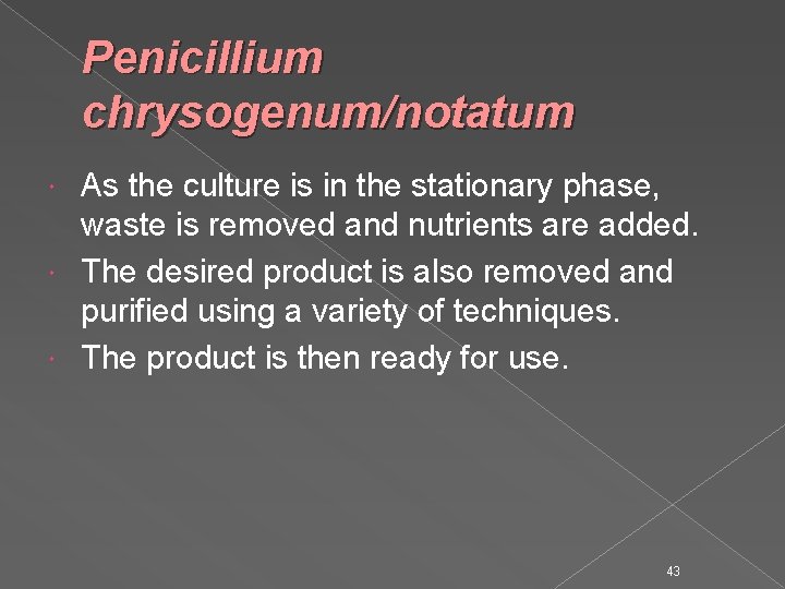 Penicillium chrysogenum/notatum As the culture is in the stationary phase, waste is removed and