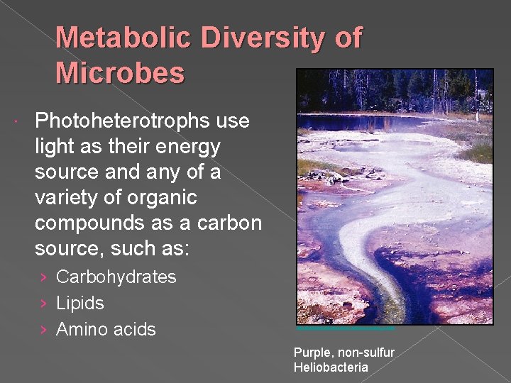 Metabolic Diversity of Microbes Photoheterotrophs use light as their energy source and any of