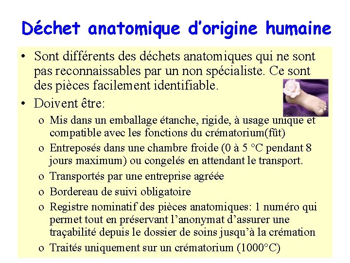 Déchet anatomique d’origine humaine • Sont différents des déchets anatomiques qui ne sont pas