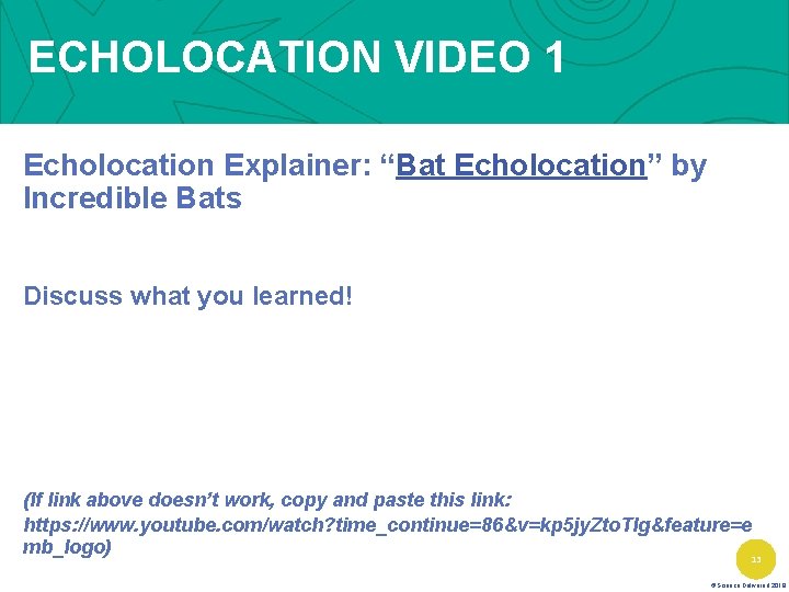 ECHOLOCATION VIDEO 1 Echolocation Explainer: “Bat Echolocation” by Incredible Bats Discuss what you learned!