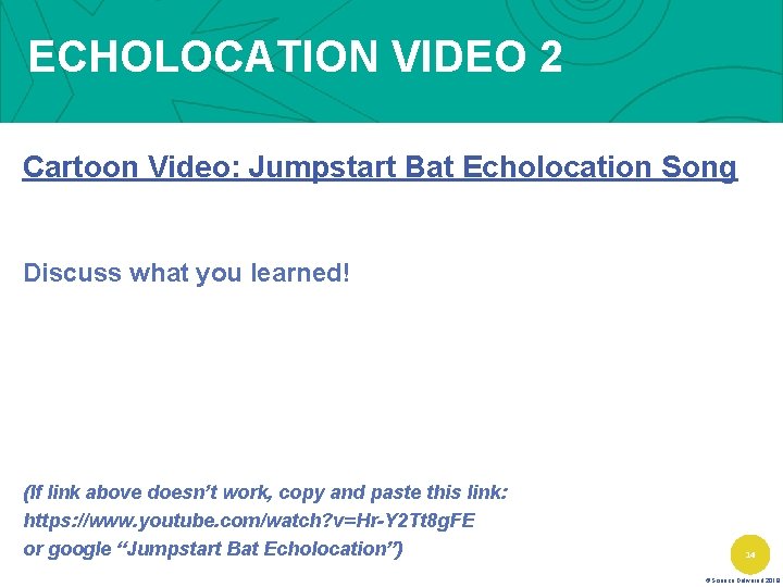 ECHOLOCATION VIDEO 2 Cartoon Video: Jumpstart Bat Echolocation Song Discuss what you learned! (If