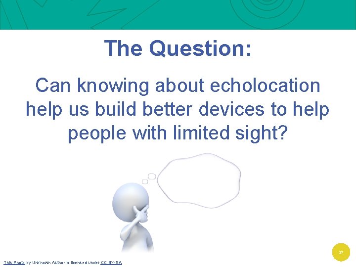 The Question: Can knowing about echolocation help us build better devices to help people