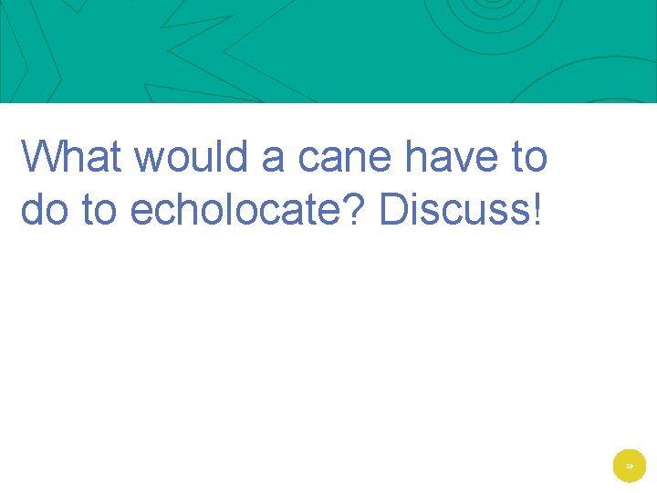 What would a cane have to do to echolocate? Discuss! 19 