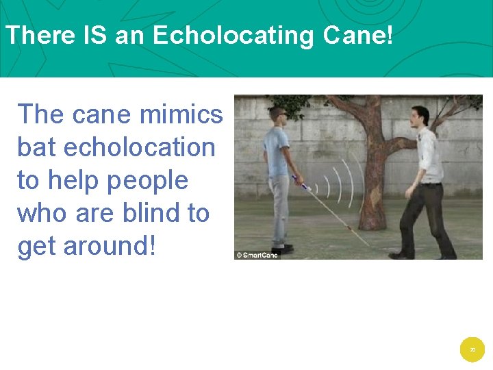 There IS an Echolocating Cane! The cane mimics bat echolocation to help people who