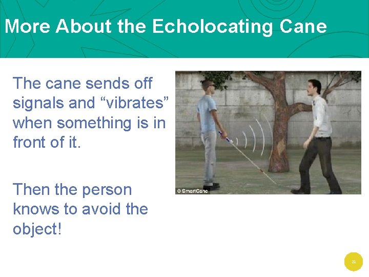 More About the Echolocating Cane The cane sends off signals and “vibrates” when something