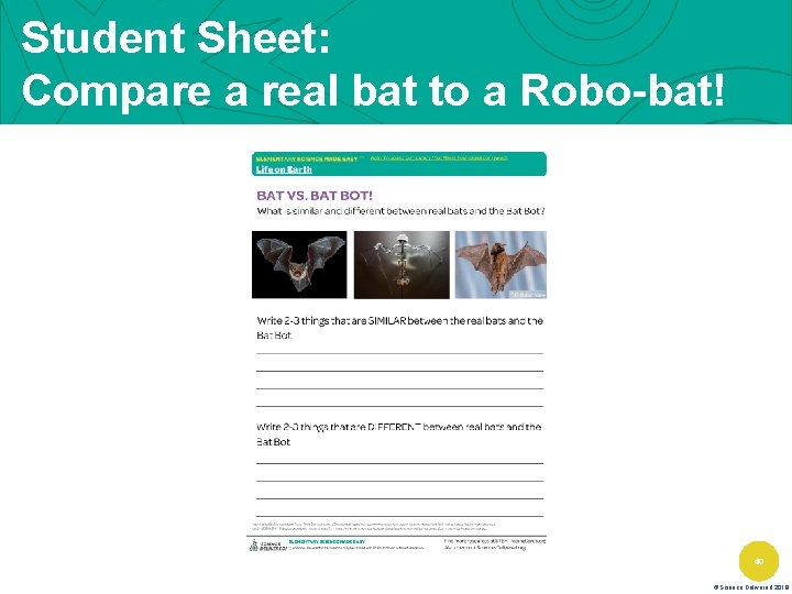 Student Sheet: Compare a real bat to a Robo-bat! 40 ©Science Delivered 2019 