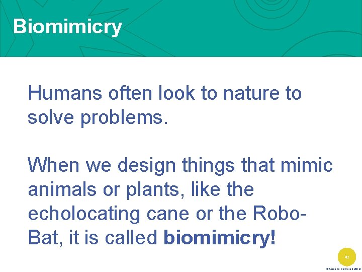 Biomimicry Humans often look to nature to solve problems. When we design things that