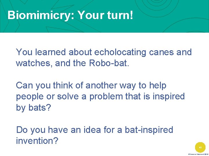 Biomimicry: Your turn! You learned about echolocating canes and watches, and the Robo-bat. Can