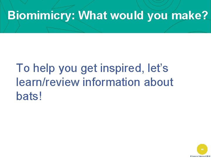 Biomimicry: What would you make? To help you get inspired, let’s learn/review information about