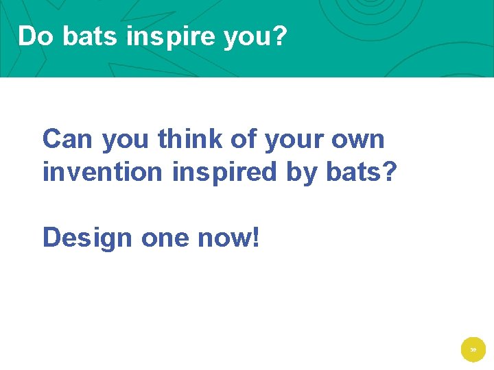 Do bats inspire you? Can you think of your own invention inspired by bats?