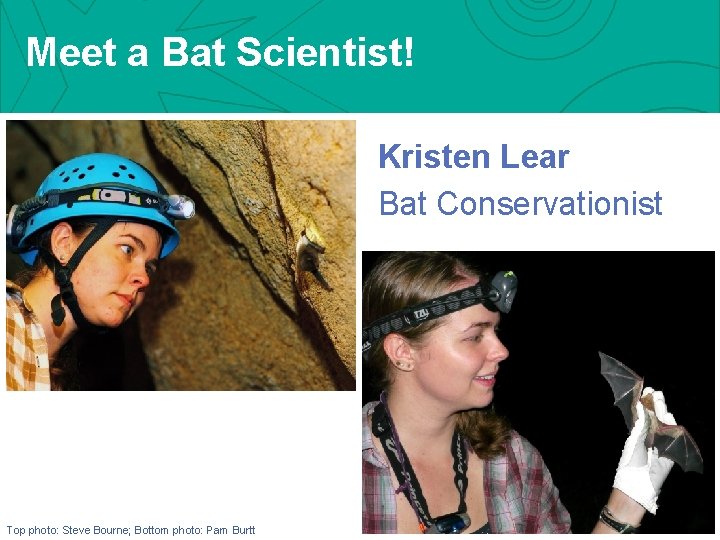 Meet a Bat Scientist! Kristen Lear Bat Conservationist 62 Top photo: Steve Bourne; Bottom